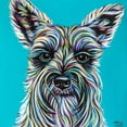 thumbnail image 3 of Vitaletti, Carolee 20x20 Black Modern Framed Museum Art Print Titled - Colorful Schnauzer, 3 of 5