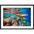 thumbnail image 2 of Art.com Hawksbill Turtle - Eretmochelys Imbricata Floats under Water. Maldives Indian Ocean Coral Reef. Photographic Print by Andrey Armyagov, Black Frame Wall Art, 29" x 21", 2 of 5
