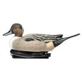 thumbnail image 2 of Avian X Power Swimmer Pintail Drake Motion Duck Decoy, 2 of 3
