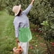 thumbnail image 4 of Bolsa de recolección para jardinería al aire libre | Delantal grande de lona lavable para cosecha | Cinturón ajustable para recolección de frutas y verduras | Bolsa multifunción para recolección y, 4 of 6