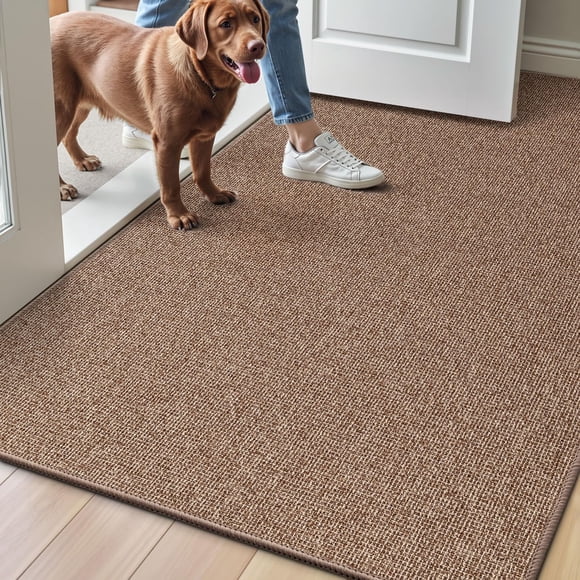 LUMI Indoor Door Mat 36"x56", Ultra Thin Low Profile Non-Slip Doormat for Home Entrance, Absorbent & Stain-Resistant Welcome Mats, Washable Entryway Mat for Front Door, Patio