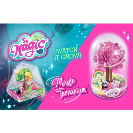 The SoMagic DIY Collection: Create Your Own Mini Terrarium World!