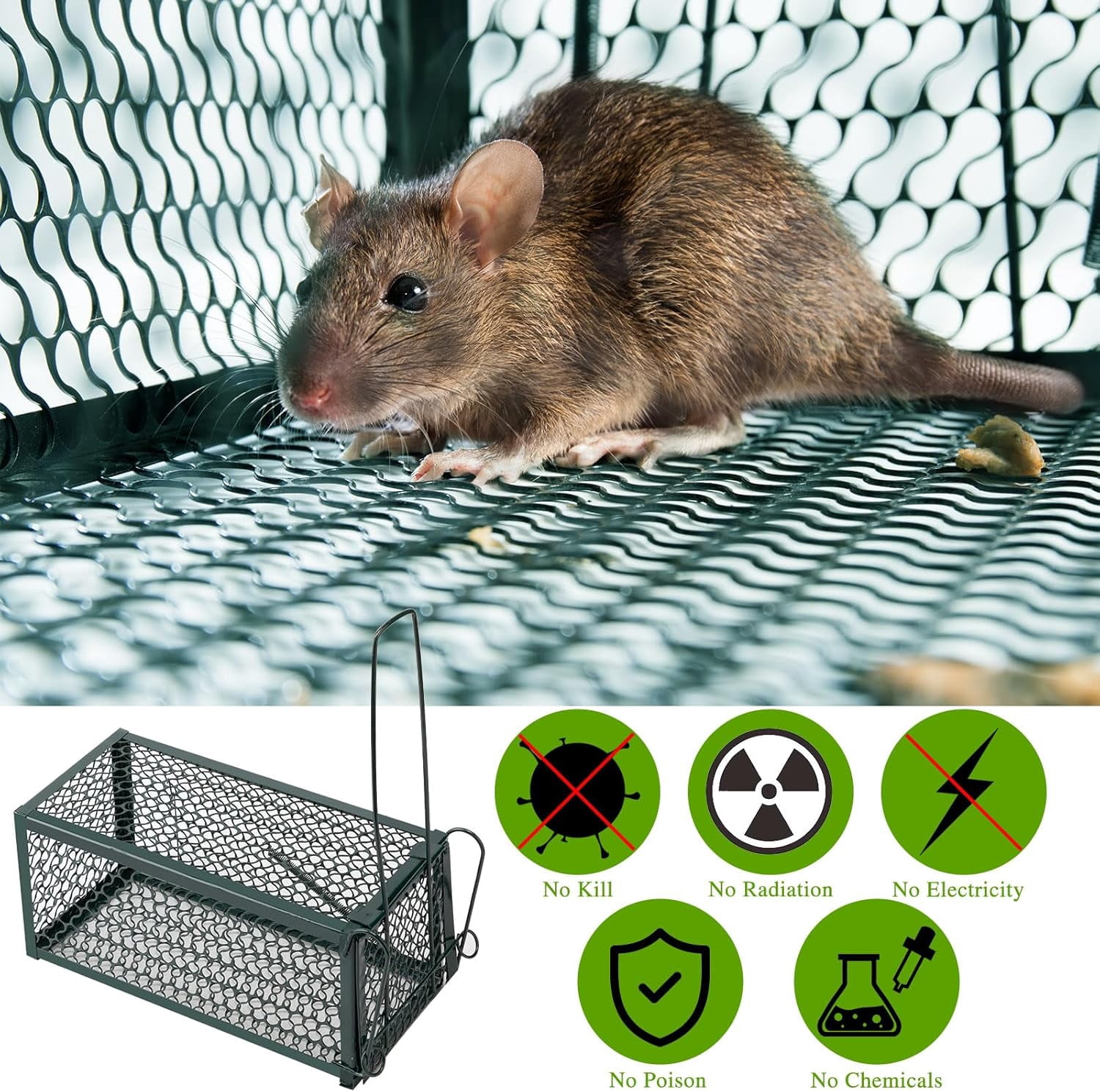 2 Pcs Humane Rat Trap Chipmunk Rodent Mouse Squirrel Trap Small Live Animal Mouse Voles Hamsters Live Cage Rat Mouse Cage for Mice Easy to Catch and Release (Green)