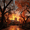 Autumn Park Path, variant on Autumn Cityscape Oil Canvas Print, for Living Room, Office, Hotel, Hallway Decor
