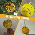 thumbnail image 5 of 6 PCS Fly Traps Ball Fly Trap Indoor, Hanging Fly Bugs Sticky Ball Outdoor, Gnat Trap Ball for House Plants Kitchen Drain Yard Garden (6PCS, Yellow), 5 of 18