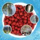 thumbnail image 5 of Aditivo concentrado para cebo atrayente de peces para pesca en agua dulce, 5 of 8
