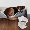 thumbnail image 4 of Pets Bowl antideslizante 15 ° inclinado alimentos agua potable contenedor con protección elevada protección espalda alimentación doméstico pequeños animales 1 tazón blanco tholdsy PT000726-02, 4 of 7