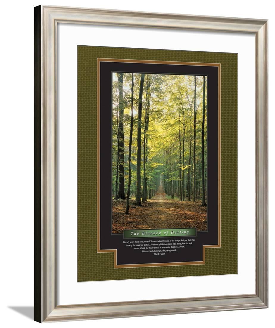 The Essence Of Destiny Framed Art Print Wall Art 30 5x36 5 Walmart Com Walmart Com