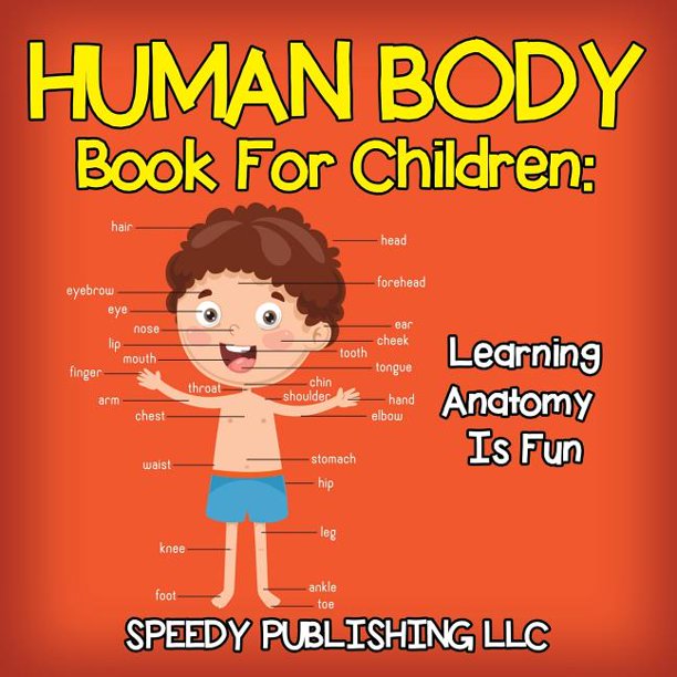 Human Body Book For Children Learning Anatomy Is Fun