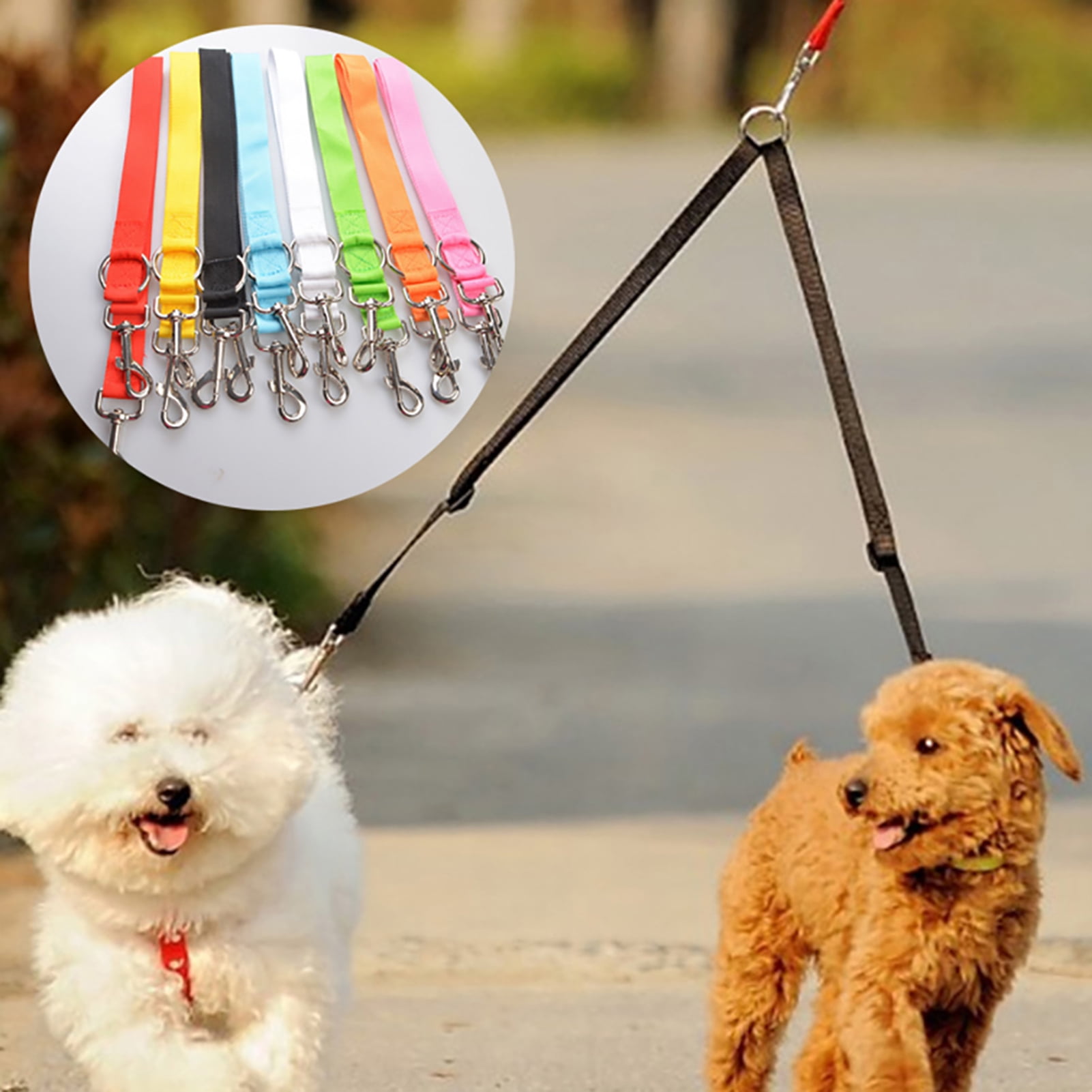 How Do You Leash Train Two Dogs At The Same Time