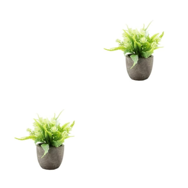 kurtrusly Realistic Artificial Succulent Low Maintenance Elegant Easy To Clean Artificial Money Tree In Pot white rose 2Set