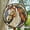 Animal Horse Colored, variant on Stained Glass Window Hanging, Pumpkin Maple Leaf Suncatcher for Doors Home Sun Catchers Decoration and Christmas, Mother's Day Birthday Gifts for Women, Men, and Mom, Stained