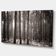thumbnail image 2 of Beautiful Misty Forest in the Autumn - Forest Canvas Art Print, 2 of 3