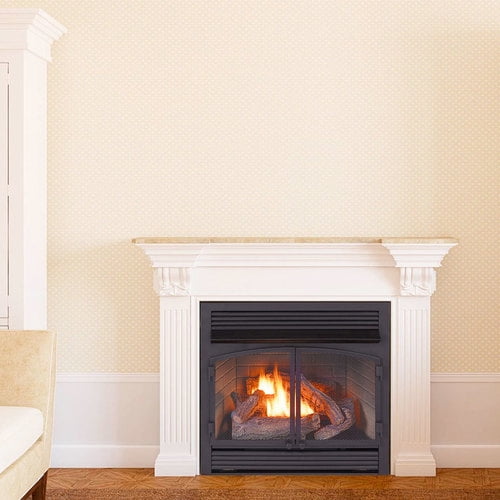 Procom Heating Dual Fuel Ventless Fireplace Insert 32 000 Btu Thermostat Control Fbnsd400t Zc Com - Procom Gas Fireplace Insert Procom Heating Dual Fuel Ventless Fireplace Insert 32 000 Btu Thermostat Control Fbnsd400t Zc Com - Procom Gas Fireplace Insert
