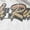 White, variant on Mens Indy 500 Distressed 108th Running Poster T Shirt