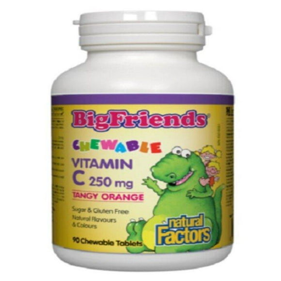 Natural Factors - Chewable Vitamin C 250 mg, Tangy Orange, Big Friends, 90 Tablets