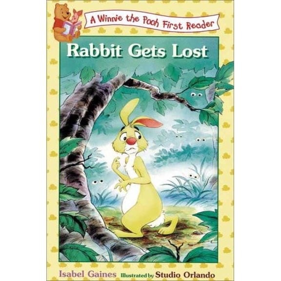 Pre-Owned Rabbit Gets Lost (Paperback) 0786842547 9780786842544