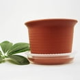 thumbnail image 5 of NIBOLOG 10Pcs Plastic Flower Pot Drip Trays Clear Round Shape Creative Saucers Decor, 5 of 8