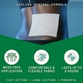 thumbnail image 3 of Biofreeze Large Pain Relief Patches, Menthol Pain Patches for Lower Back, Neck, Knee, & Shoulder, Comfortable & Flexible Fabric Stays in Place, FSA Eligible, 5 Count, 3 of 3