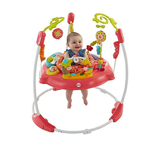 Fisher Price Jumperoo Pink Petals Walmart