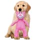 thumbnail image 5 of Para Cachorro Rellenos Peluche Interactivos, 5 of 9