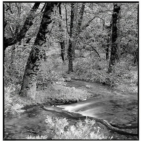 Trademark Art "Yosemite" Canvas Art by Preston