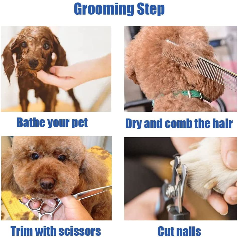 Professional Dog Grooming Scissors SetStainless Steel Rounded Tip Sharp Dur 