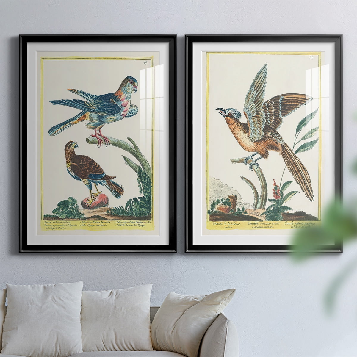 Wexford Home Pastel Birds V Premium Framed Print, 18.5" x 24.5" - Ready to Hang, Black (Set of 2)