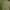 Green2, variant on Multi-color Women's Sweat Shorts Summer Cotton Linen Shorts Loose Fit Elastic Waist Knee Length Cosy Shorts Casual Beach Shorts With Pockets Comfy Shorts for Women