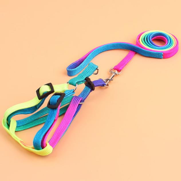 Nylon Pet Cat Dog Kitten Adjustable Colorful Harness Lead Leash Collar