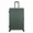 Green, variant on Vacationer 20 in Carry-On Expandable Hardside Luggage with 360-Spinner Wheels, Divider Pockets, Silver