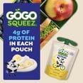 thumbnail image 3 of GoGo squeeZ Low Fat Yogurtz Strawberry and Banana Yogurt Snack Pouches, 3 oz (10 Pack), 3 of 16