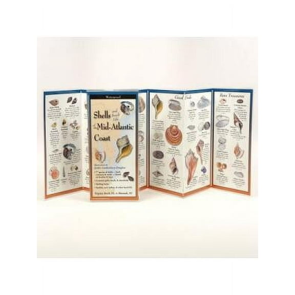 FoldingGuides: Shells of the Mid-Atlantic Coast (Other)