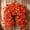 B, variant on Fall Thanksgiving Artificial Flower Wall Hangings, Weather Resistant Floral Swag, Ceiling Hanging Decor for Indoor Outdoor Front Porch Farmhouse Harvest Home Ornament