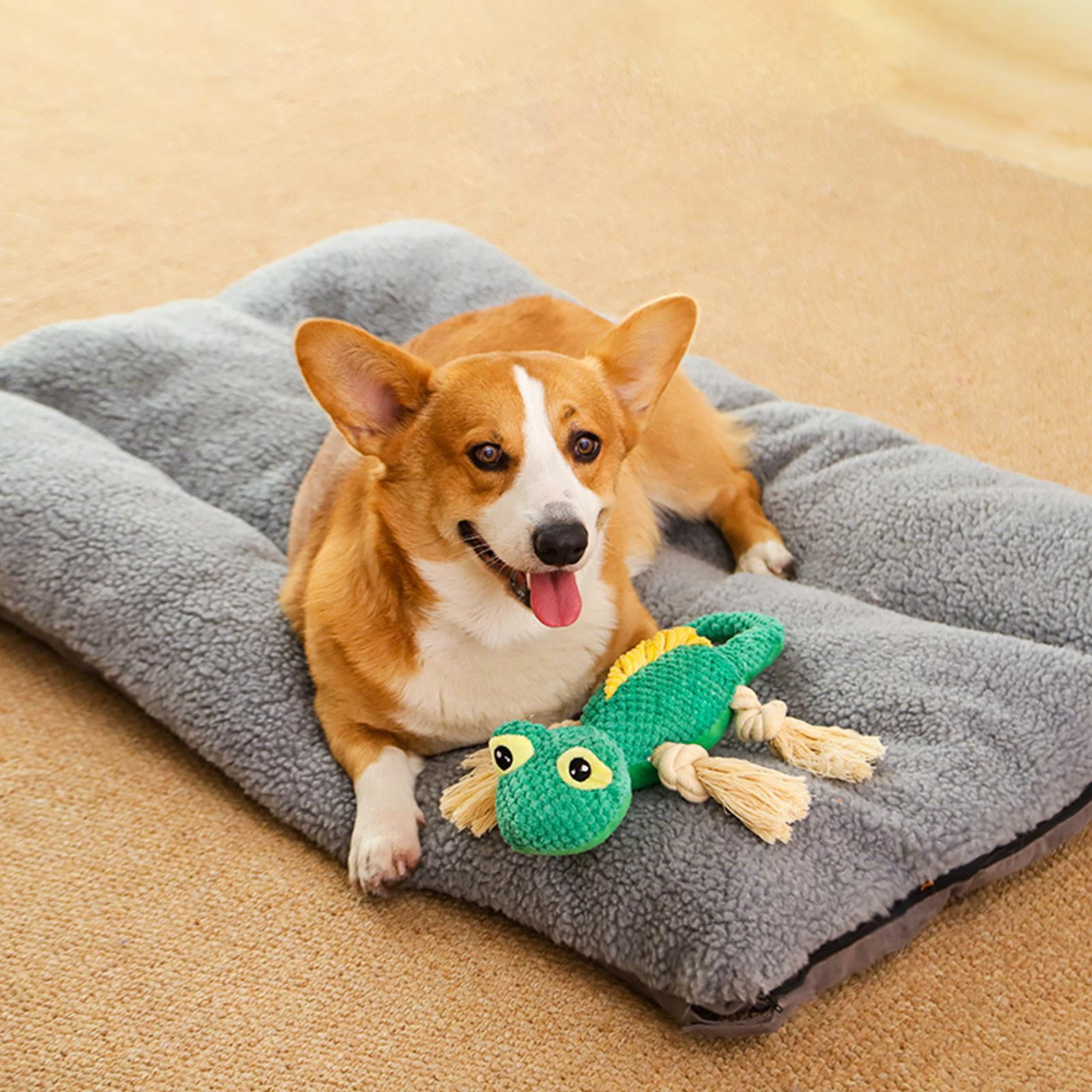 Dog training squeaker online