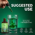 thumbnail image 6 of Mullein Drops for Lungs Liquid Chlorophyll Mullein Leaf Extract Supplement Elderberry Sea Moss Spirulina Chlorella Lobelia Marigold Licorice Marshmallow Lung Detox Cleanse Tincture Men Women 2 fl oz, 6 of 9