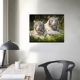 thumbnail image 3 of White Tiger Poster Canvas Pictures Wall Art Decor Prints Printing For Living room/Home/Office With Framed 16"x12", 3 of 4