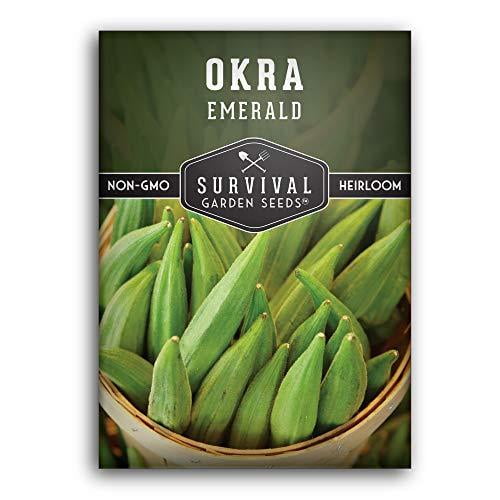 Survival Garden Seeds 1 Packet Emerald Okra Seed NonGMO Heirloom