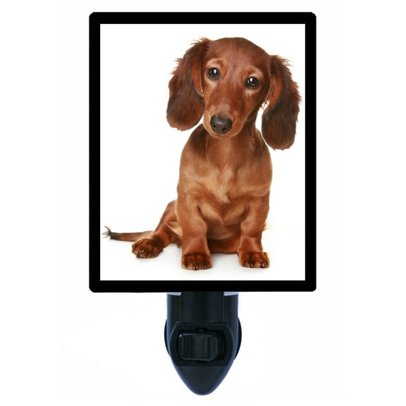 Night Light - Long-Haired Dachshund Puppy. | Dog Theme, Includes Free Switchable Insert, 4W Bulb, E12 Base