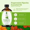 thumbnail image 5 of SVA Peppermint Piperita Essential Oil – 4 Fl Oz – 100% Natural Piperita Oil - for Diffuser, Hair Care, Face, Skin Care, Aromatherapy, Scalp and Body Massage, Soap and Candle Making - with Dropper, 5 of 5