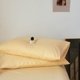 thumbnail image 1 of Juego de 2 fundas de almohada en microfibra certificada - Cu suave y cepillada, 1 of 5