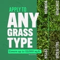 thumbnail image 5 of Scotts Turf Builder Lawn Food, 37.9 lbs., 12,000 sq. ft., Granular Lawn Fertilizer, 5 of 14