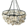 thumbnail image 5 of Creative Co-Op Metal and Draped Oyster Shell Chandelier, Multicolor, 5 of 9