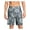 Gray, variant on Mens Blue Drawstring Lined Printed Classic Fit Swim Trunks S