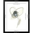 thumbnail image 5 of Art.com Monochrome Floral Study VII Art Print by June Vess, Black Frame Wall Art, 32" x 40", 5 of 5