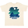 thumbnail image 3 of Inktastic Smoky Mountains Gatlinburg Tennessee with Bear Boys or Girls Toddler T-Shirt, 3 of 5