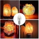 thumbnail image 3 of 10pcs E12 C7 10W 220-240V Warm White Tungsten Filament Incandescent Candle Light Bulbs, 3 of 5