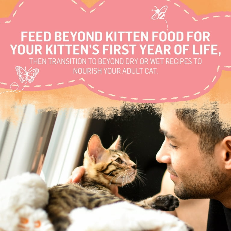 Purina beyond kitten sale