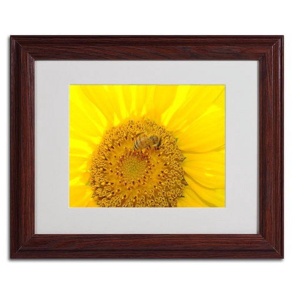 Trademark Fine Art "Honey-Maker" by Monica Fleet, Wood Frame