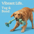 thumbnail image 4 of Vibrant Life Multicolor 2-Knot Rope Dog Toy, Chew Level 2, 4 of 9